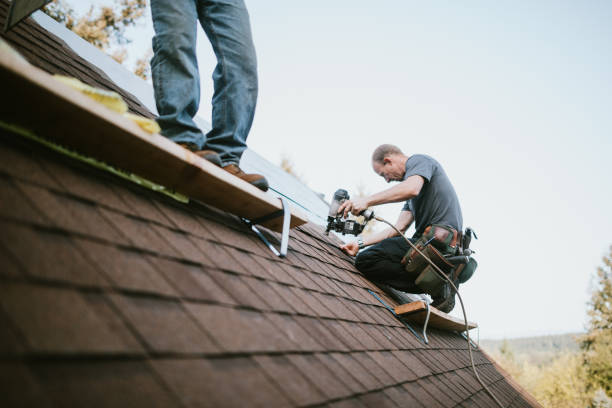 Best Gutter Installation and Roofing  in Canton, MS